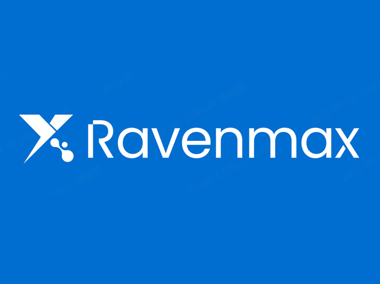 Ravenmax technology office and operations team