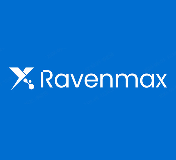 Ravenmax logistics intelligence team and technology environment